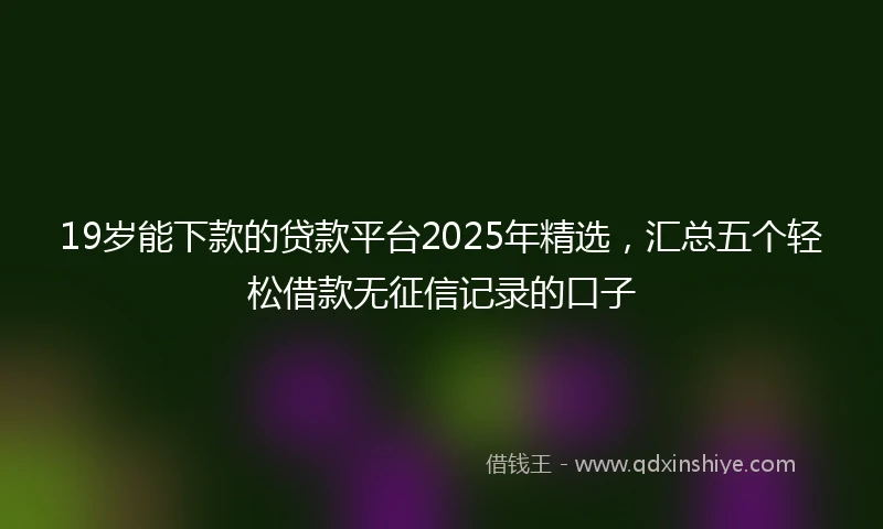 19岁能下款的贷款平台2025年精选，汇总五个轻松借款无征信记录的口子