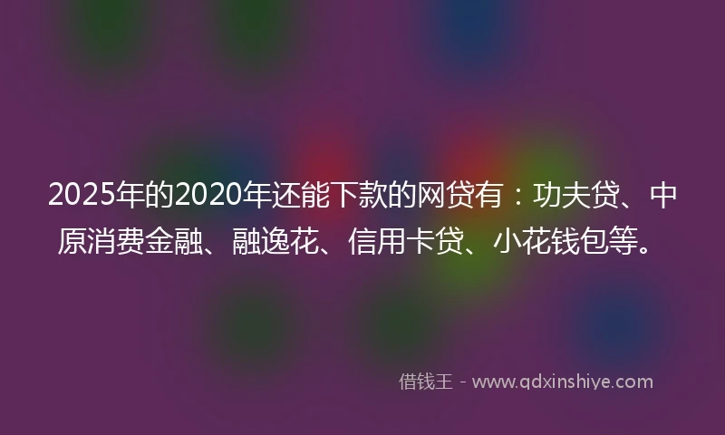 2025年的2020年还能下款的网贷有：功夫贷、中原消费金融、融逸花、信用卡贷、小花钱包等。