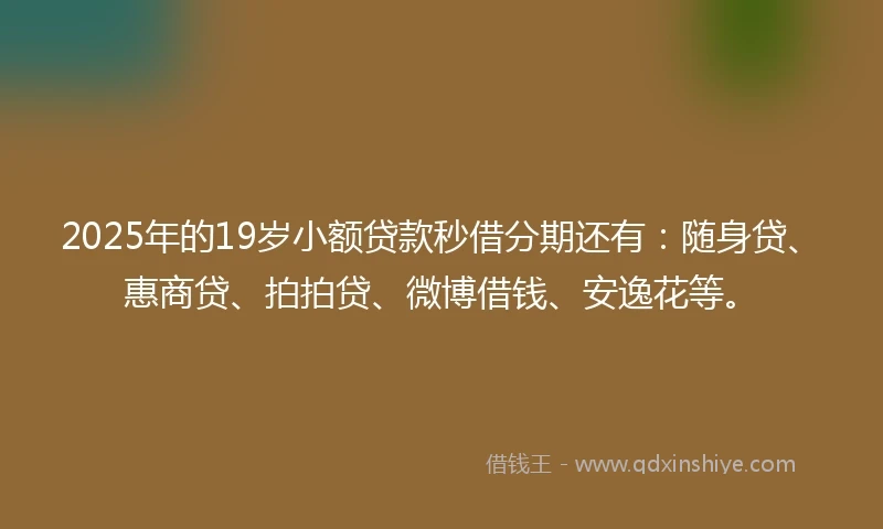 2025年的19岁小额贷款秒借分期还有：随身贷、惠商贷、拍拍贷、微博借钱、安逸花等。