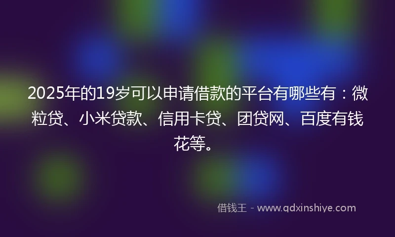 2025年的19岁可以申请借款的平台有哪些有：微粒贷、小米贷款、信用卡贷、团贷网、百度有钱花等。