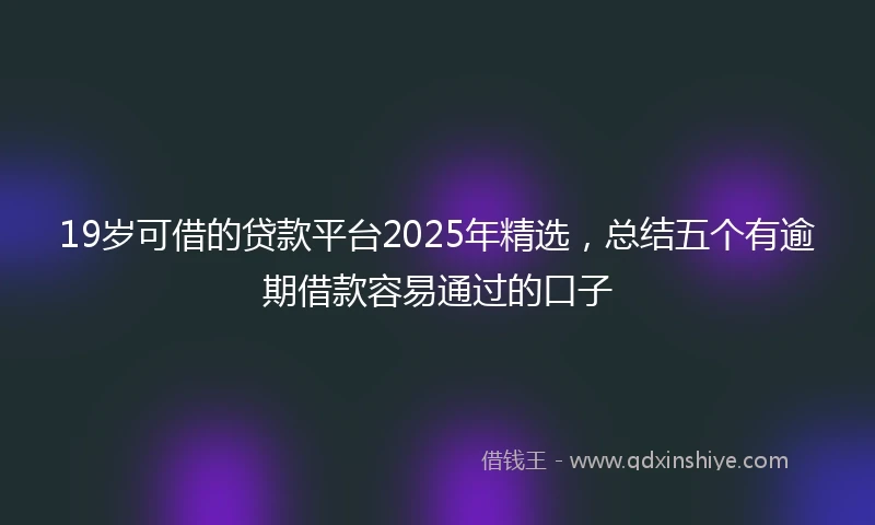 19岁可借的贷款平台2025年精选，总结五个有逾期借款容易通过的口子