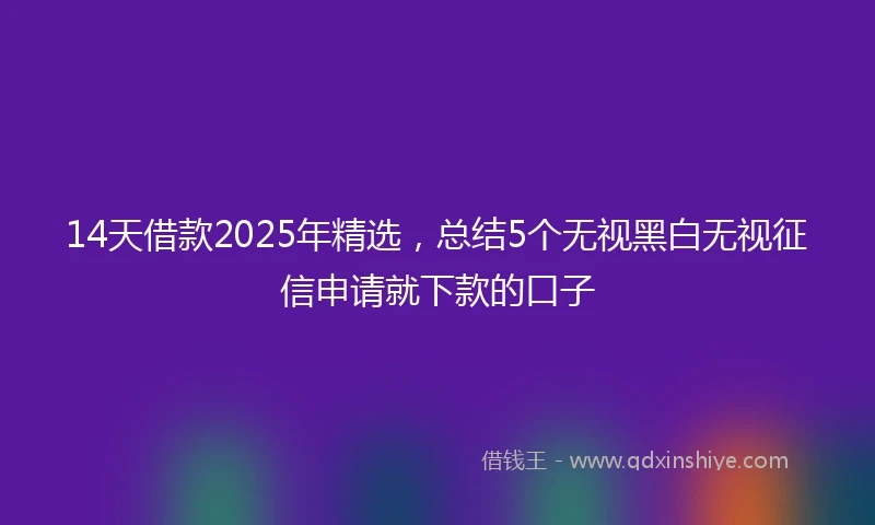 14天借款2025年精选，总结5个无视黑白无视征信申请就下款的口子