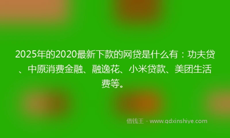 2025年的2020最新下款的网贷是什么有：功夫贷、中原消费金融、融逸花、小米贷款、美团生活费等。