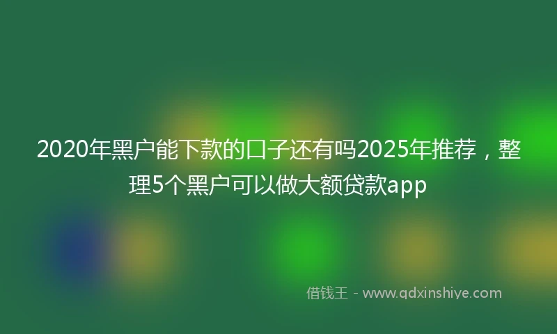 2020年黑户能下款的口子还有吗2025年推荐，整理5个黑户可以做大额贷款app