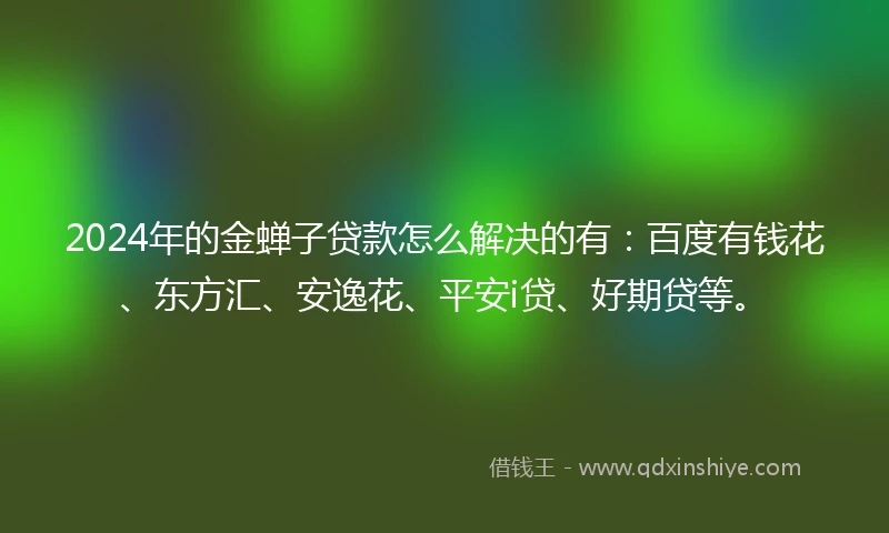 2024年的金蝉子贷款怎么解决的有：百度有钱花、东方汇、安逸花、平安i贷、好期贷等。