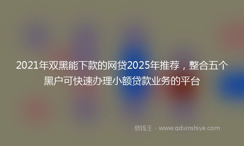 2021年双黑能下款的网贷2025年推荐，整合五个黑户可快速办理小额贷款业务的平台