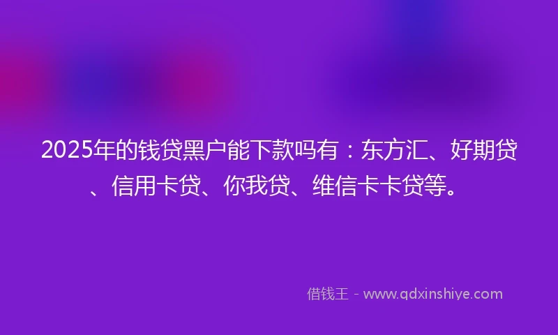 2025年的钱贷黑户能下款吗有：东方汇、好期贷、信用卡贷、你我贷、维信卡卡贷等。