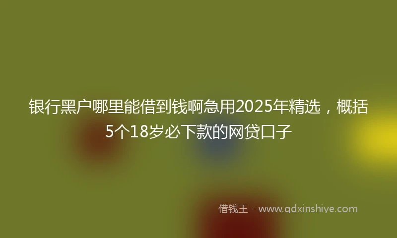 银行黑户哪里能借到钱啊急用2025年精选，概括5个18岁必下款的网贷口子