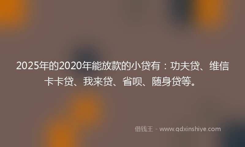 2025年的2020年能放款的小贷有：功夫贷、维信卡卡贷、我来贷、省呗、随身贷等。