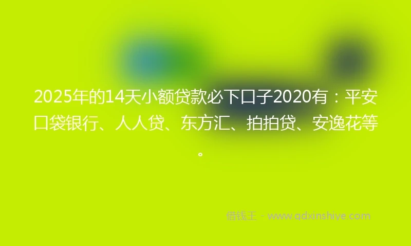2025年的14天小额贷款必下口子2020有：平安口袋银行、人人贷、东方汇、拍拍贷、安逸花等。