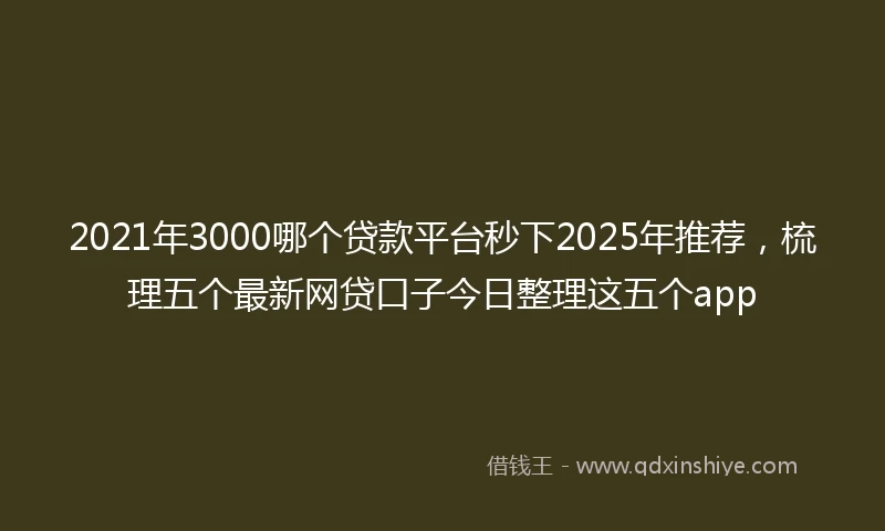 2021年3000哪个贷款平台秒下2025年推荐，梳理五个最新网贷口子今日整理这五个app