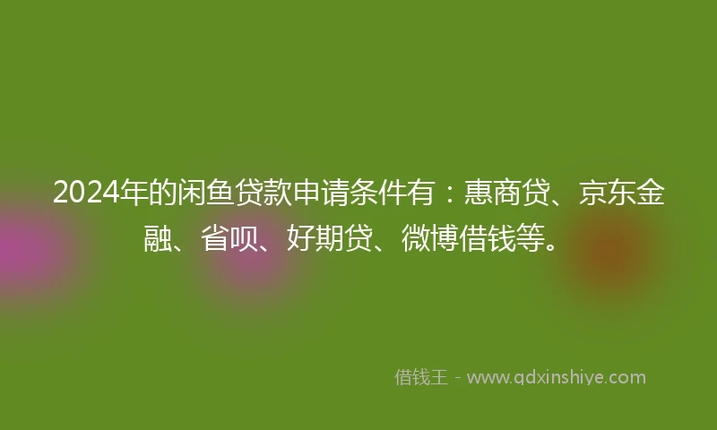 2024年的闲鱼贷款申请条件有：惠商贷、京东金融、省呗、好期贷、微博借钱等。