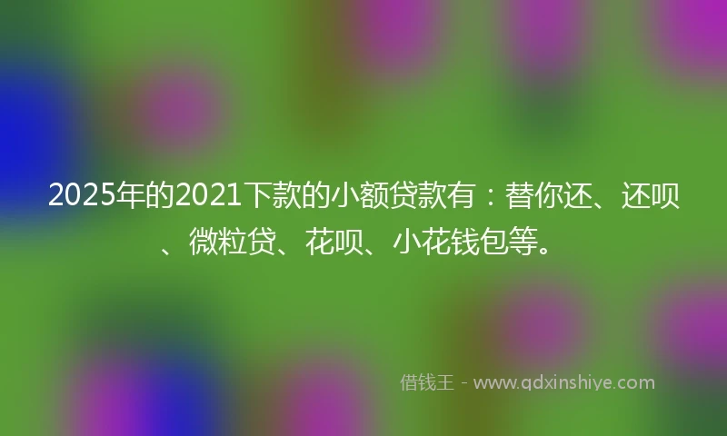 2025年的2021下款的小额贷款有：替你还、还呗、微粒贷、花呗、小花钱包等。