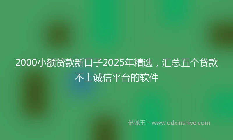 2000小额贷款新口子2025年精选，汇总五个贷款不上诚信平台的软件