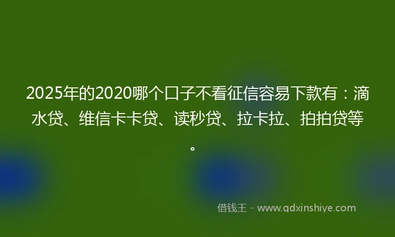2025年的2020哪个口子不看征信容易下款有：滴水贷、维信卡卡贷、读秒贷、拉卡拉、拍拍贷等。
