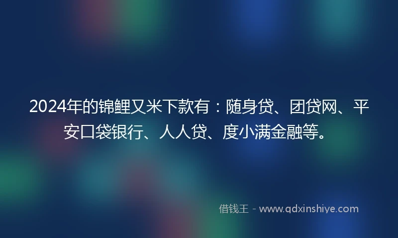 2024年的锦鲤又米下款有：随身贷、团贷网、平安口袋银行、人人贷、度小满金融等。