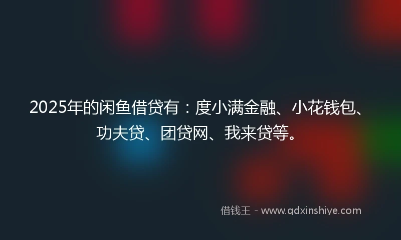 2025年的闲鱼借贷有：度小满金融、小花钱包、功夫贷、团贷网、我来贷等。