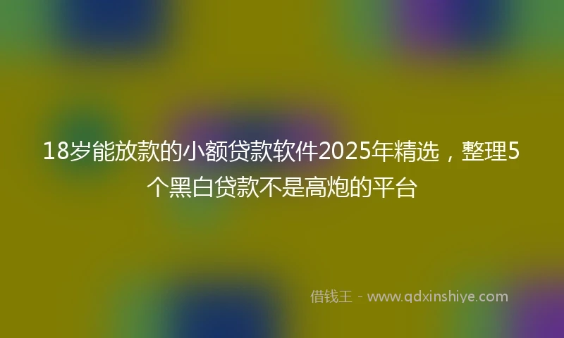 18岁能放款的小额贷款软件2025年精选，整理5个黑白贷款不是高炮的平台