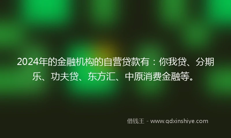 2024年的金融机构的自营贷款有：你我贷、分期乐、功夫贷、东方汇、中原消费金融等。