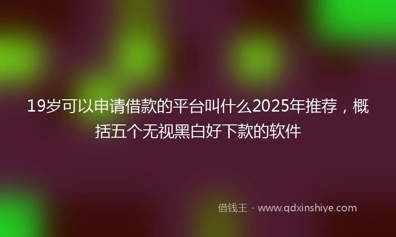 19岁可以申请借款的平台叫什么2025年推荐，概括五个无视黑白好下款的软件