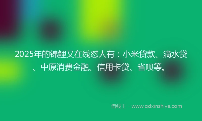 2025年的锦鲤又在线怼人有：小米贷款、滴水贷、中原消费金融、信用卡贷、省呗等。