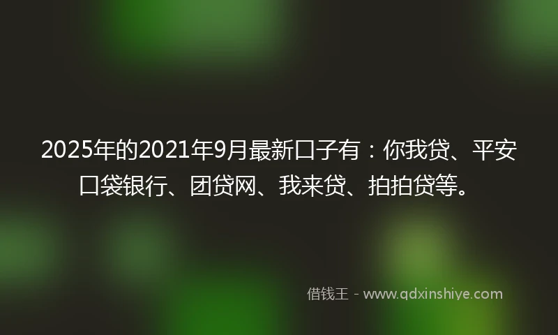 2025年的2021年9月最新口子有：你我贷、平安口袋银行、团贷网、我来贷、拍拍贷等。
