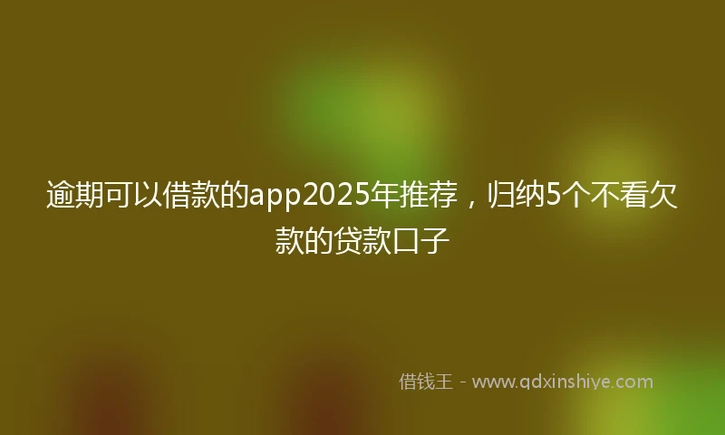 逾期可以借款的app2025年推荐，归纳5个不看欠款的贷款口子