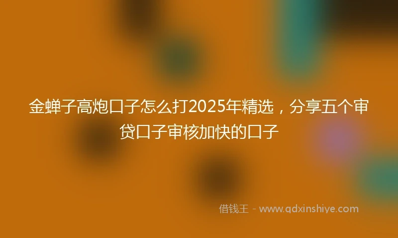 金蝉子高炮口子怎么打2025年精选，分享五个审贷口子审核加快的口子