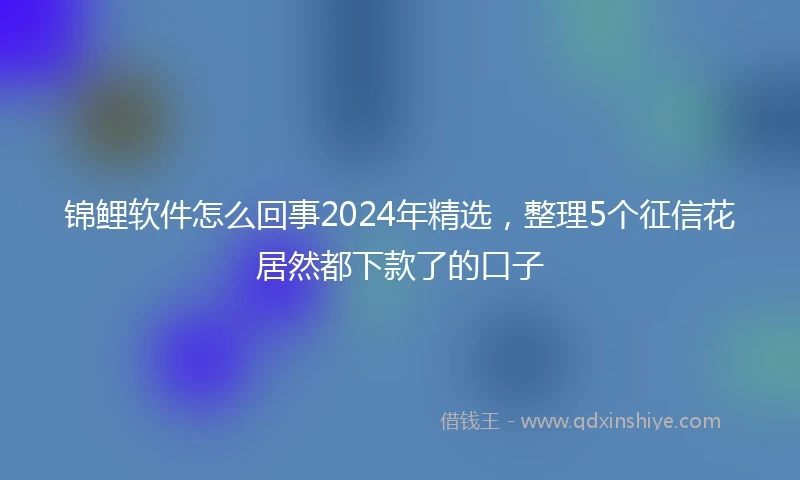 锦鲤软件怎么回事2024年精选，整理5个征信花居然都下款了的口子