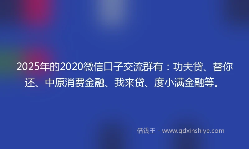 2025年的2020微信口子交流群有：功夫贷、替你还、中原消费金融、我来贷、度小满金融等。