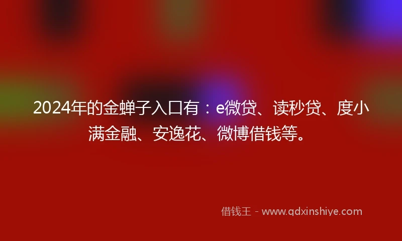 2024年的金蝉子入口有：e微贷、读秒贷、度小满金融、安逸花、微博借钱等。