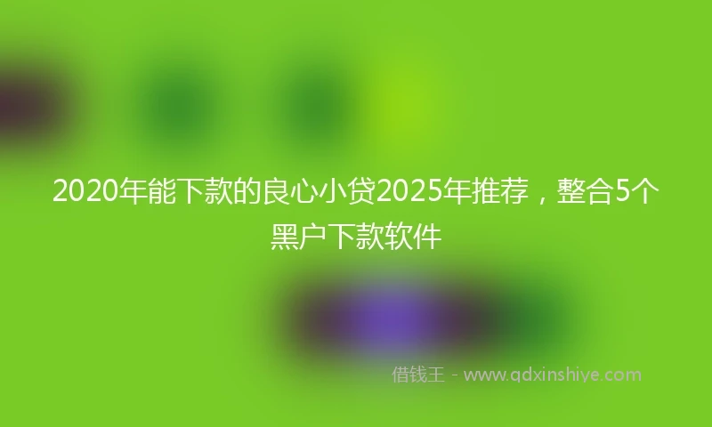 2020年能下款的良心小贷2025年推荐，整合5个黑户下款软件
