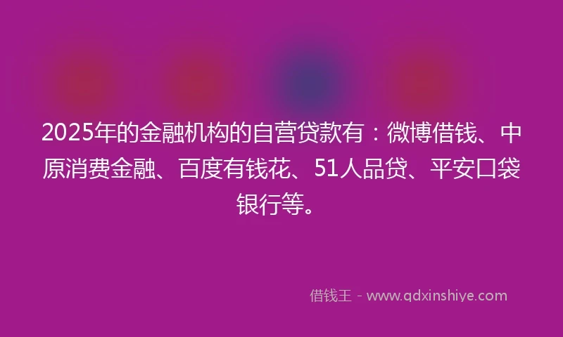 2025年的金融机构的自营贷款有：微博借钱、中原消费金融、百度有钱花、51人品贷、平安口袋银行等。
