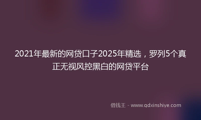 2021年最新的网贷口子2025年精选，罗列5个真正无视风控黑白的网贷平台