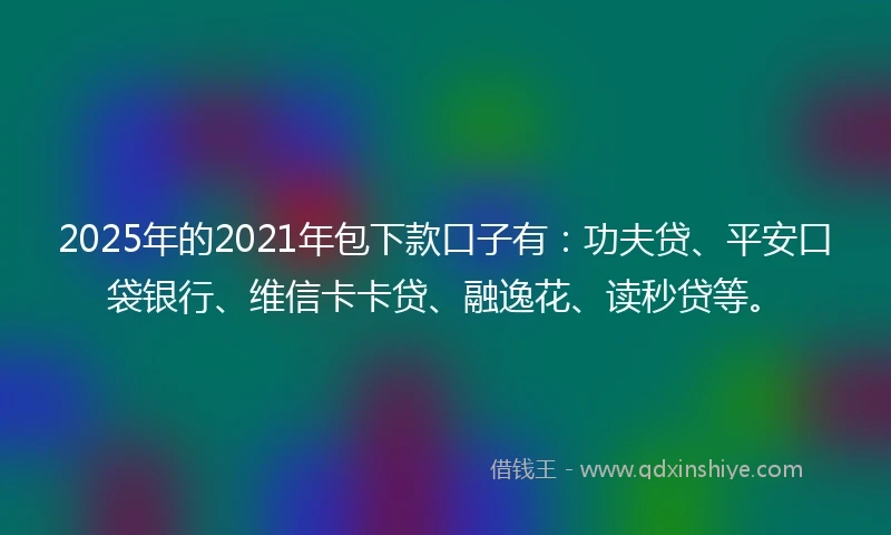 2025年的2021年包下款口子有：功夫贷、平安口袋银行、维信卡卡贷、融逸花、读秒贷等。