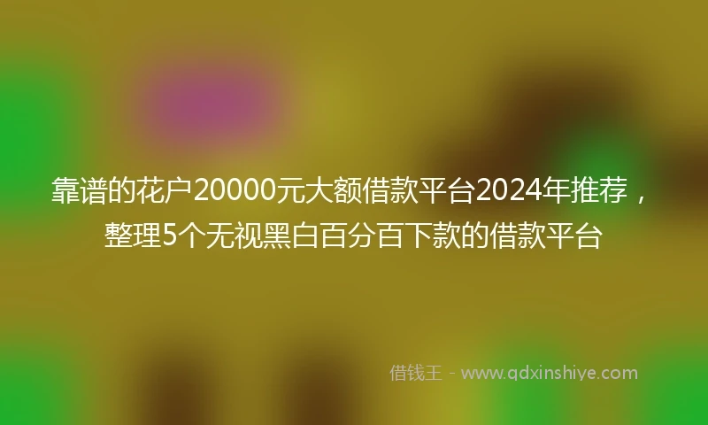 靠谱的花户20000元大额借款平台2024年推荐，整理5个无视黑白百分百下款的借款平台
