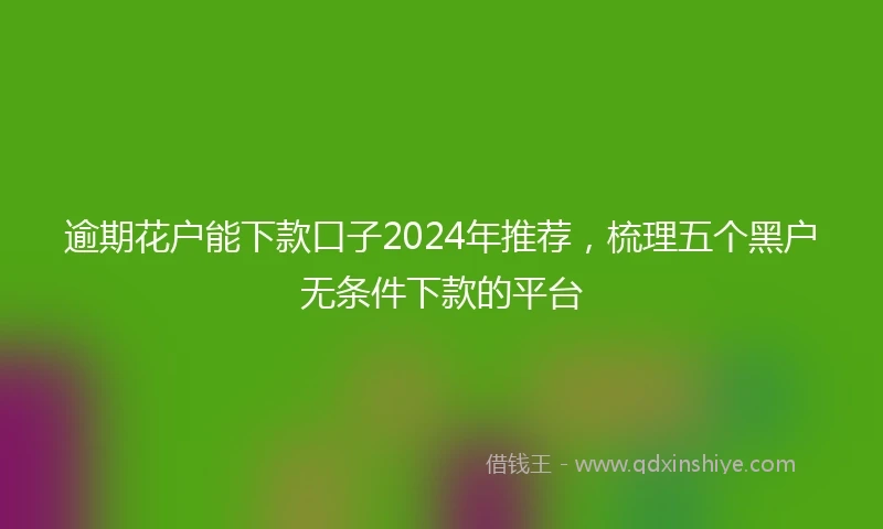 逾期花户能下款口子2024年推荐，梳理五个黑户无条件下款的平台