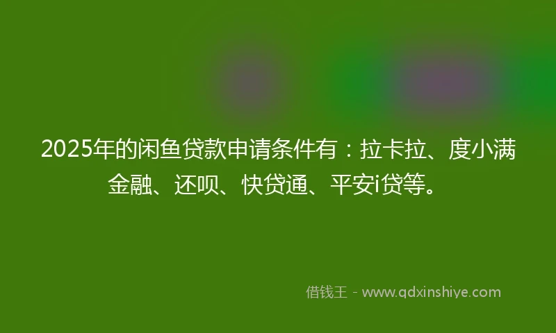 2025年的闲鱼贷款申请条件有：拉卡拉、度小满金融、还呗、快贷通、平安i贷等。