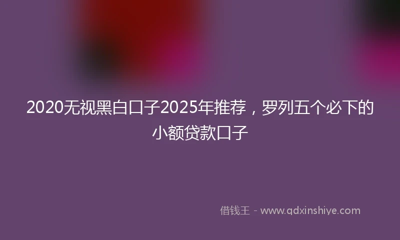 2020无视黑白口子2025年推荐，罗列五个必下的小额贷款口子