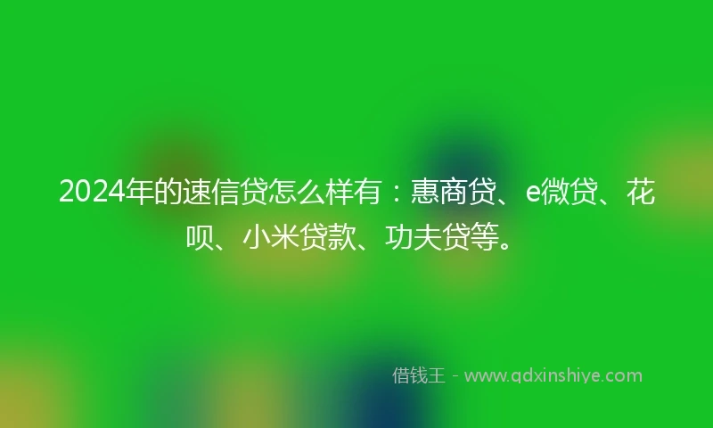 2024年的速信贷怎么样有：惠商贷、e微贷、花呗、小米贷款、功夫贷等。