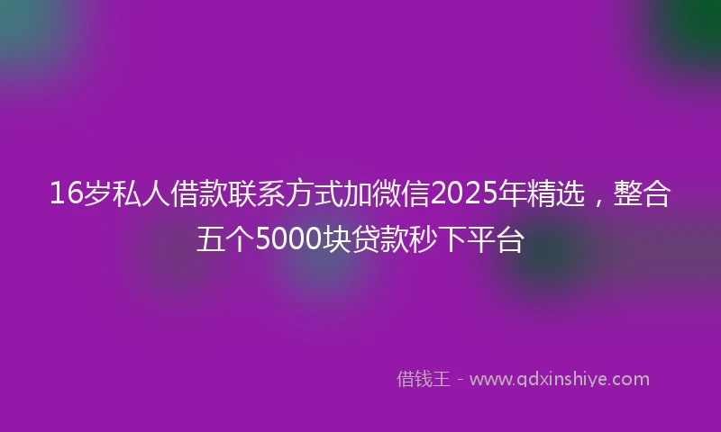 16岁私人借款联系方式加微信2025年精选，整合五个5000块贷款秒下平台