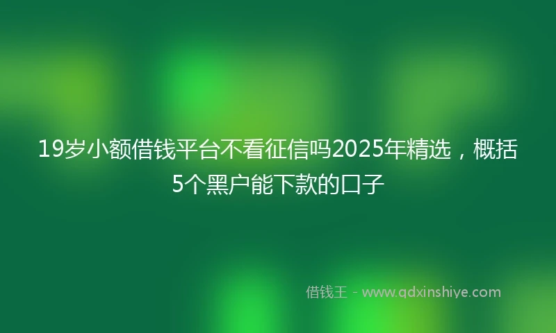 19岁小额借钱平台不看征信吗2025年精选，概括5个黑户能下款的口子