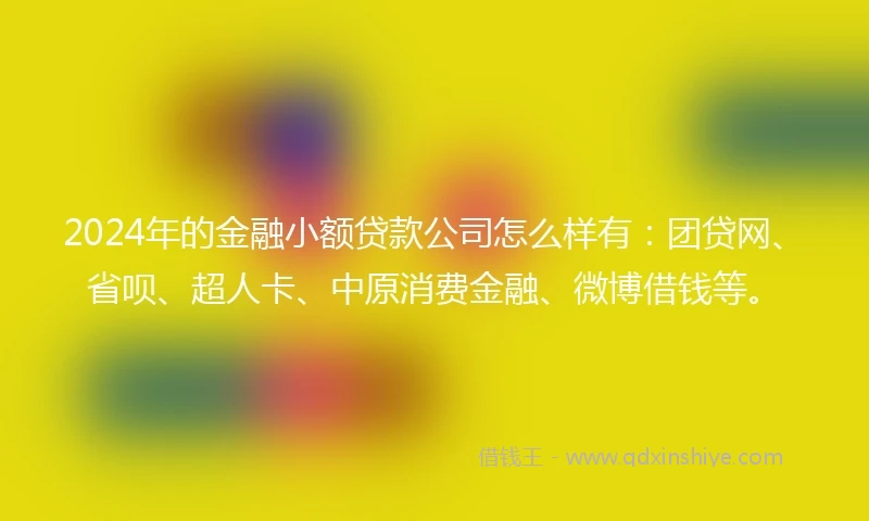 2024年的金融小额贷款公司怎么样有：团贷网、省呗、超人卡、中原消费金融、微博借钱等。