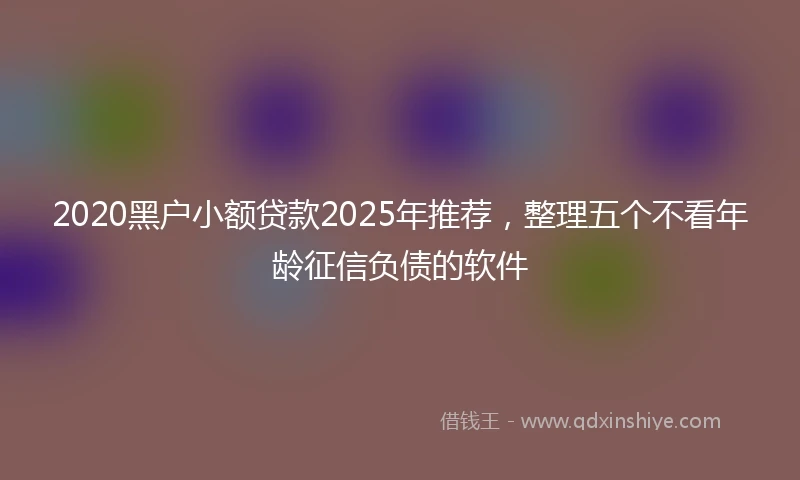 2020黑户小额贷款2025年推荐，整理五个不看年龄征信负债的软件