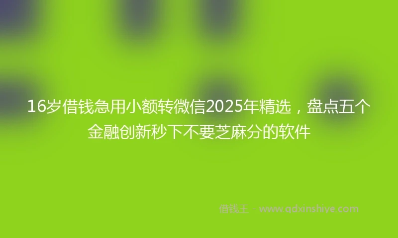 16岁借钱急用小额转微信2025年精选，盘点五个金融创新秒下不要芝麻分的软件