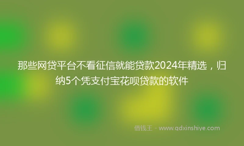 那些网贷平台不看征信就能贷款2024年精选，归纳5个凭支付宝花呗贷款的软件