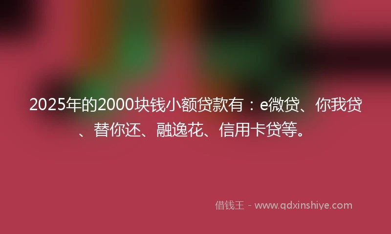2025年的2000块钱小额贷款有：e微贷、你我贷、替你还、融逸花、信用卡贷等。