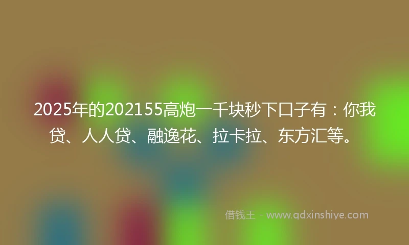2025年的202155高炮一千块秒下口子有：你我贷、人人贷、融逸花、拉卡拉、东方汇等。