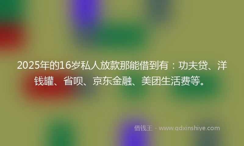 2025年的16岁私人放款那能借到有：功夫贷、洋钱罐、省呗、京东金融、美团生活费等。