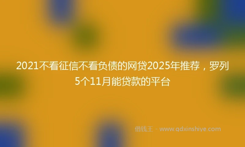 2021不看征信不看负债的网贷2025年推荐，罗列5个11月能贷款的平台